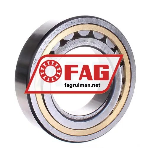 FAG NUP2217-E-MP1A-C3