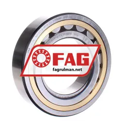 FAG NUP2217-E-MP1A-C3