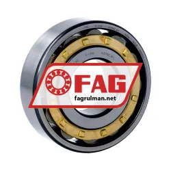 FAG N306-E-M1