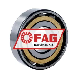 FAG N306-E-M1 rulman resim 2