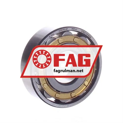 FAG N304E-M1