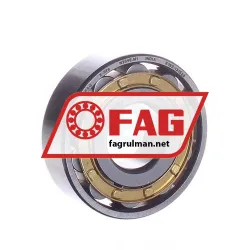 FAG N304E-M1