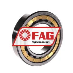 FAG NJ213E-M1