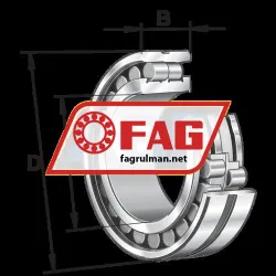FAG NN3028-AS-K-M-SP-C3