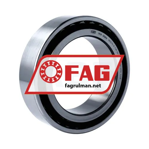 FAG NN3019-D-TVP-SP-XL