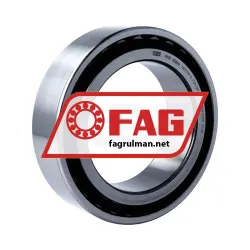 FAG NN3019-D-TVP-SP-XL