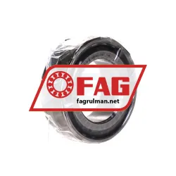 FAG NN3008-D-TVP-SP-XL