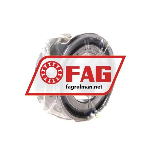 FAG NN3009-D-K-TVP-SP-XL
