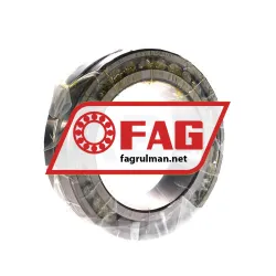 FAG NN3019ASK-M-SP