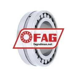 FAG NN3009-AS-M-SP rulman resim 2