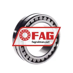 FAG NN3013ASK-M-SP