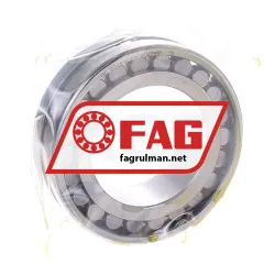 FAG NN3009-AS-K-M-SP