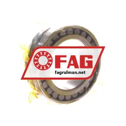 FAG NN3010-AS-M-SP rulman resim 2