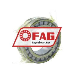 FAG NN3009AS-M-SP rulman resim 2
