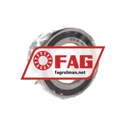 FAG NN3006-D-TVP-SP-XL