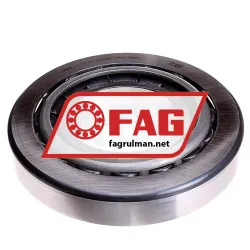 FAG 31317