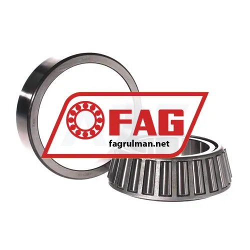 FAG 33113