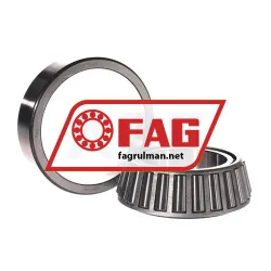 FAG 33113