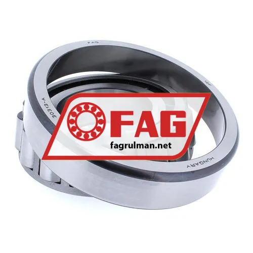FAG 30313A