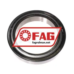 FAG 32920 rulman resim 3