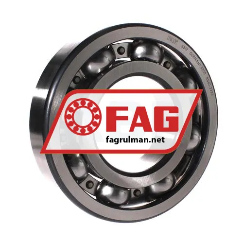 FAG 6317