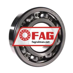 FAG 6317