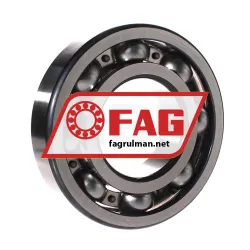 FAG 6317 rulman resim 2