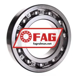 FAG 6224