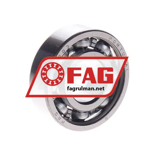 FAG 6203