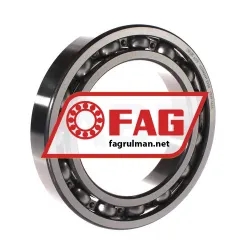 FAG 6019