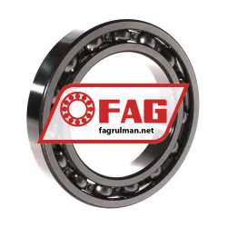 FAG 6019 rulman resim 2