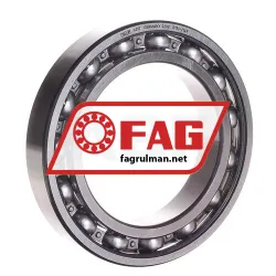 FAG 6017