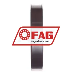 FAG 6017 rulman resim 3