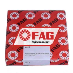 FAG 6017 rulman resim 4