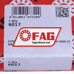 FAG 6017 rulman resim 5