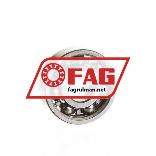 FAG 6000