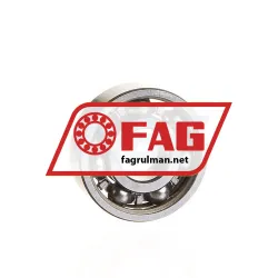 FAG 6000