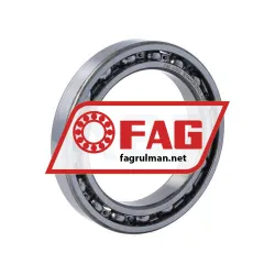 FAG 61912