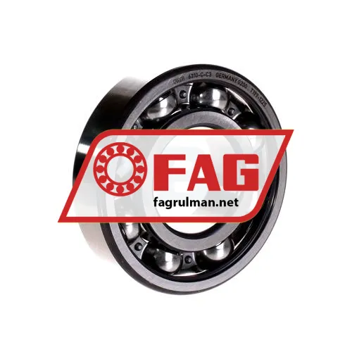 FAG 6310-C-C3