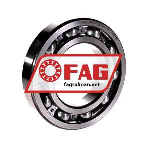 FAG 6219-C2