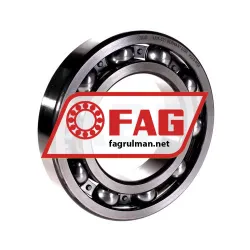 FAG 6219-C2