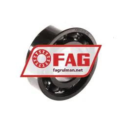 FAG 6003