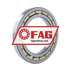 FAG 16022-MA-C3 rulman resim 2