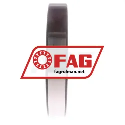 FAG 6038-M-C4 rulman resim 3