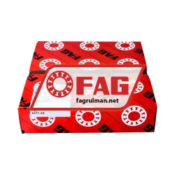 FAG 6317-2Z rulman resim 3
