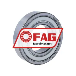 FAG 6209-C-2Z-L100-C3