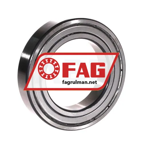 FAG 6010-2Z-L207-C3