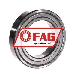 FAG 6010-2Z-L207-C3
