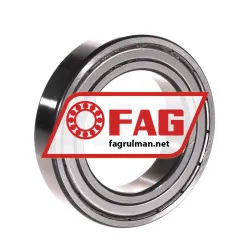 FAG 6010-2Z-L207-C3 rulman resim 2