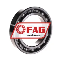 FAG 6017-Z rulman resim 2